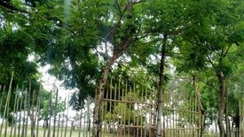 Land for sale in Uacon, Zambales