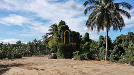 Commercial for sale in Katangawan, South Cotabato