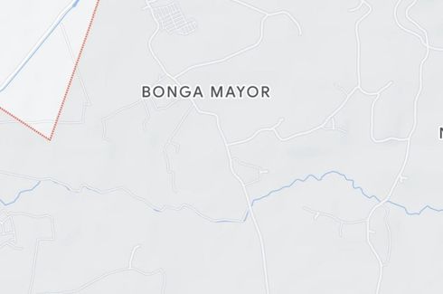 Land for sale in Bonga Mayor, Bulacan