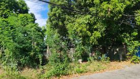 Land for sale in BF Homes, Metro Manila