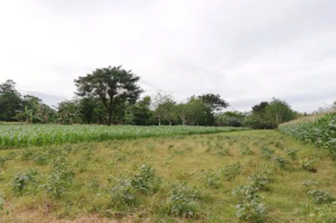 Land for sale in Supo, Pangasinan