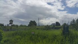 Land for sale in Santo Domingo, Laguna