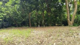 Land for sale in Ayala Alabang Village, New Alabang Village, Metro Manila