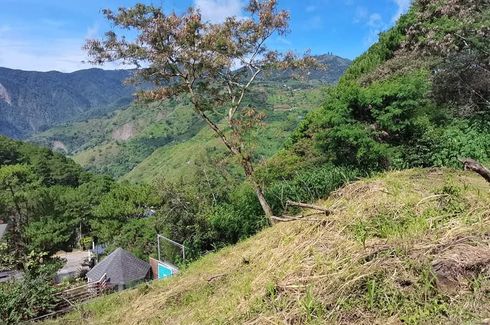 Land for sale in Camp 7, Benguet