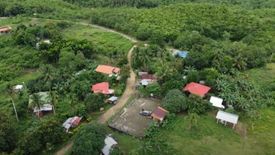 Land for sale in Villahermosa, Cebu