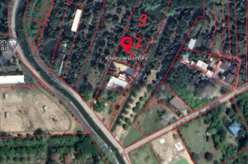Land for sale in Nong Faek, Chiang Mai