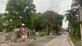 Land for sale in Santa Filomena, Iloilo