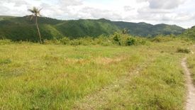 Land for sale in Pitalo, Cebu