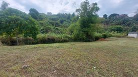 Land for sale in Amarilyo Crest, Dolores, Rizal