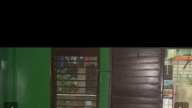 6 Bedroom Apartment for sale in Santa Cruz, Cebu