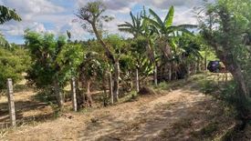 Land for sale in Poblacion Barangay 9, Batangas