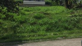 Land for sale in Maunong, Laguna