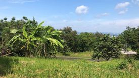Land for sale in Maunong, Laguna