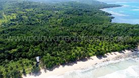 Land for sale in Napsan, Palawan