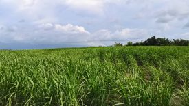 Land for sale in San Pablo, Negros Occidental
