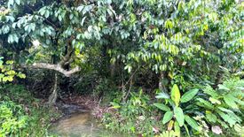 Land for sale in Bang Thong, Phang Nga