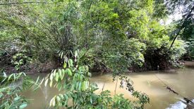 Land for sale in Bang Thong, Phang Nga