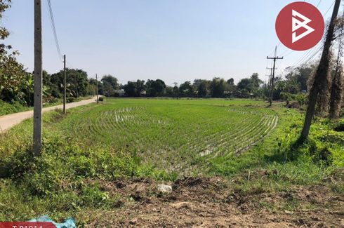 Land for sale in Rim Kok, Chiang Rai