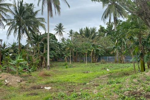 FARM LOT ALONG BARANGAY ROAD IN GEN. EMILIO AGUINALDO (BAILEN) FOR SALE ...