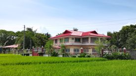 Land for sale in Celestino Villacin, Negros Occidental