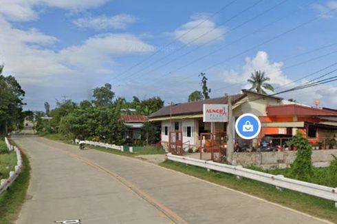 4 Bedroom Commercial for rent in Poblacion, Bohol