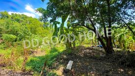 Land for sale in Bang Phai, Nonthaburi