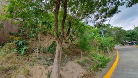 Land for sale in Lawaan III, Cebu