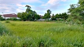 Land for sale in Mactan, Cebu