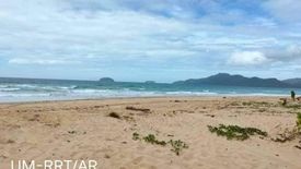 Land for sale in New Ibajay, Palawan