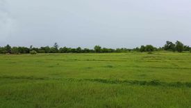 Land for sale in Tangcarang, Pangasinan