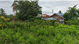 Land for sale in Tunga, Cebu