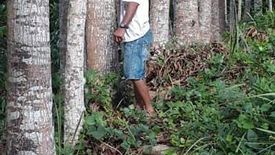 Land for sale in Malipoon, Leyte