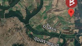 Land for sale in Kho Wang, Yasothon