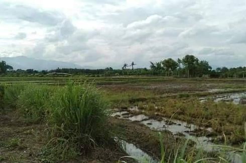 Land for sale in Mae Thalop, Chiang Mai