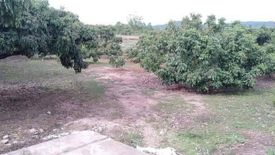 Land for sale in Mae Thalop, Chiang Mai