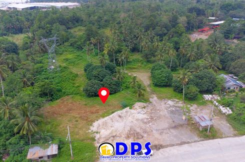 Land for sale in Mahayag, Davao del Sur