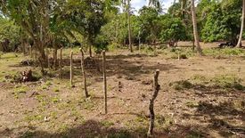 Land for sale in Lumampong Balagbag, Cavite