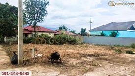 Land for sale in Pak Phraek, Kanchanaburi