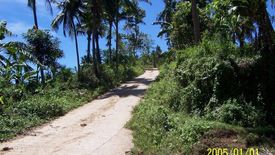 Land for sale in Cambayog, Cebu