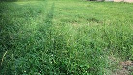 Land for sale in San Isidro, Pampanga