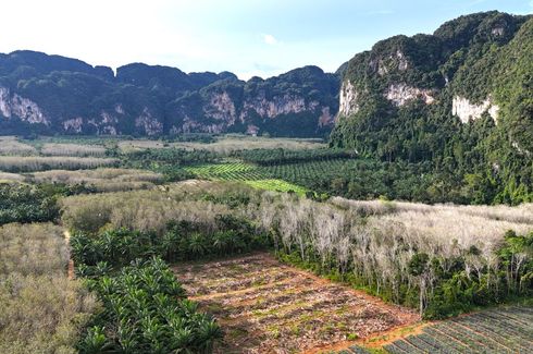 Land for sale in Khao Thong, Krabi