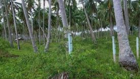 Land for sale in Culandanum, Palawan