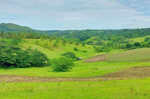 Land for sale in Ilihan, Cebu