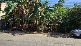 Land for sale in Santo Domingo, Rizal