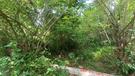 Land for sale in Palangue 1, Cavite