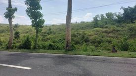 Land for sale in Santa Cruz, Cebu