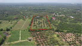 Land for sale in Pa Sang, Lamphun