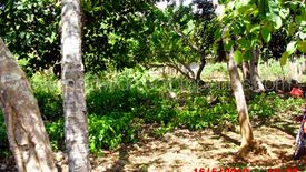 Land for sale in San Manuel, Palawan