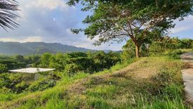 Land for sale in Talamban, Cebu