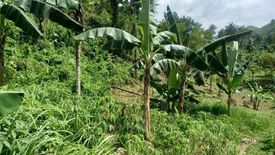 Land for sale in Cansomoroy, Cebu